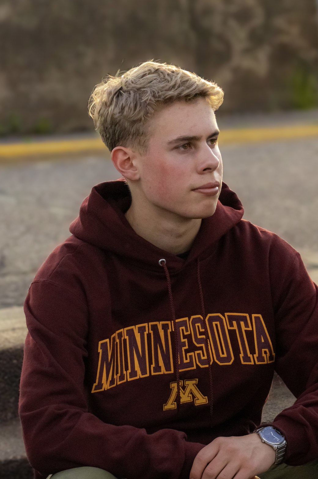 Portrait of Sebastian Valine